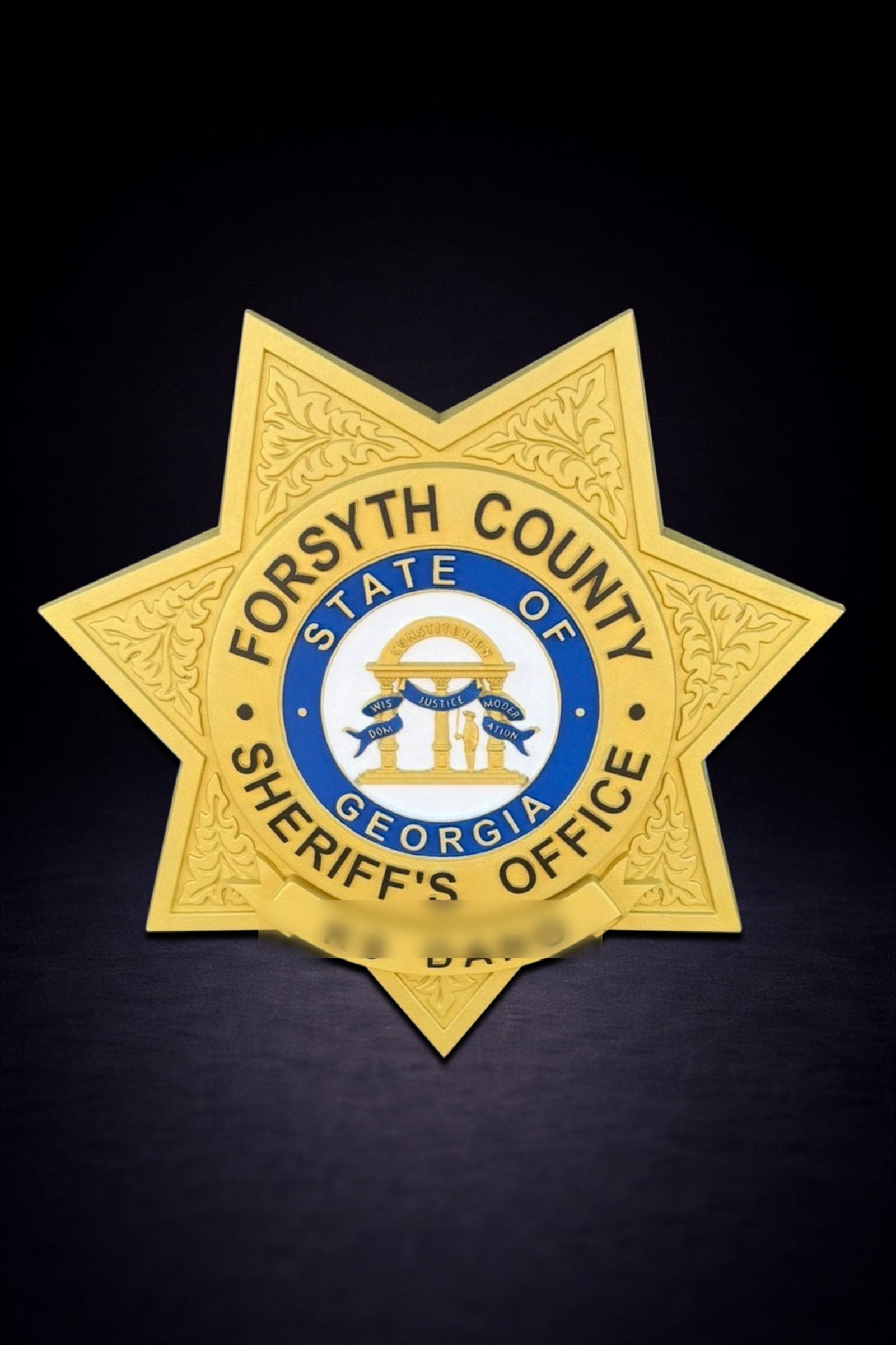 Forsyth County Sheriff's Office