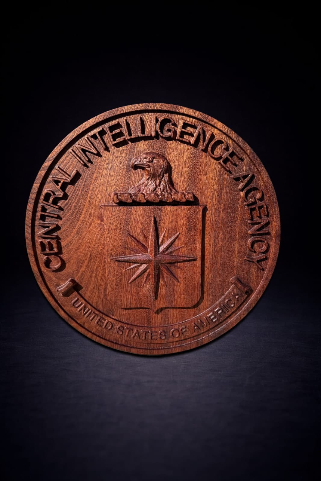 Central Intelligence Agency Seal