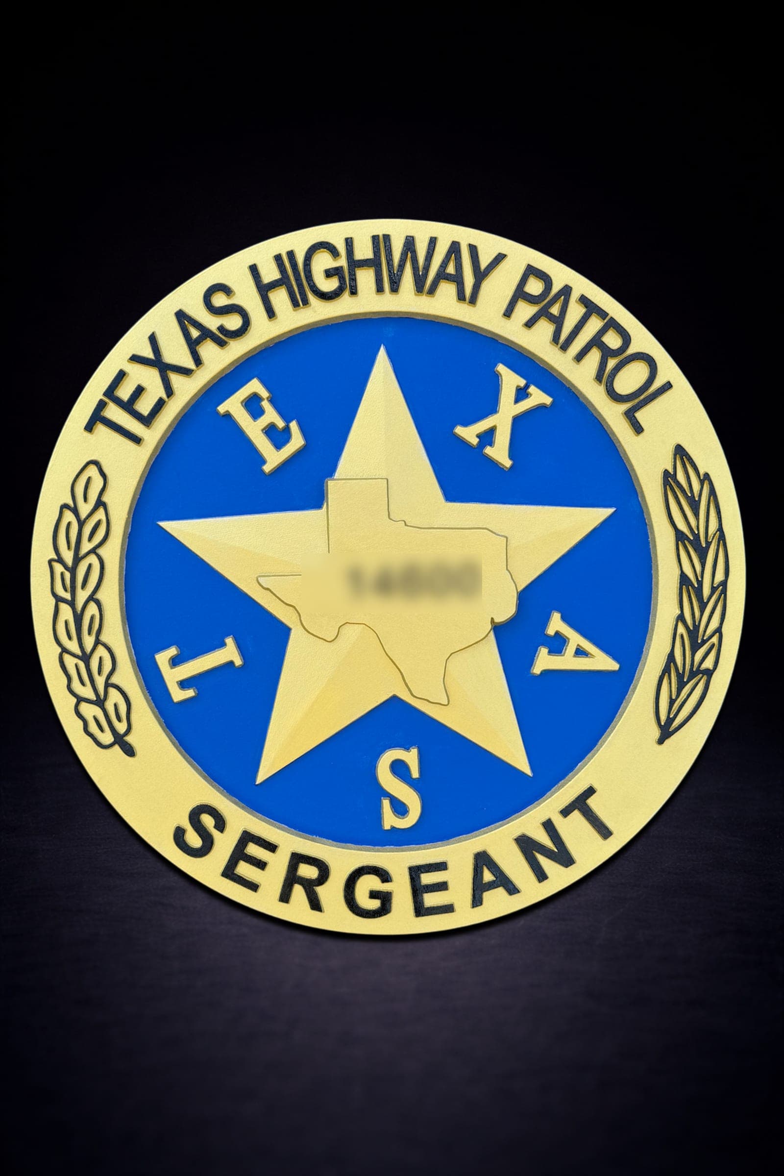Texas Highway Patrol DPS