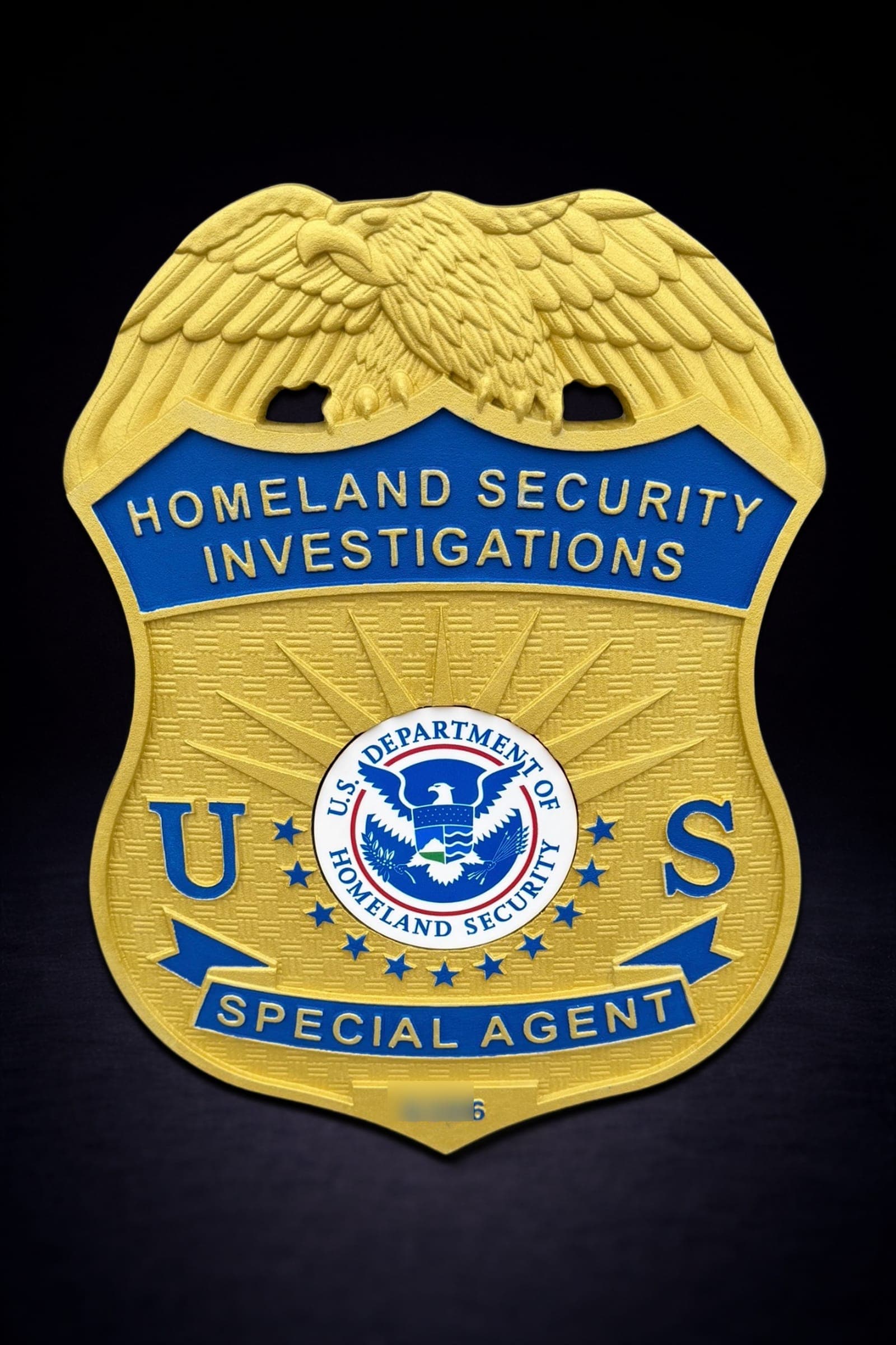 Homeland Security Investigations (HSI) Special Agent
